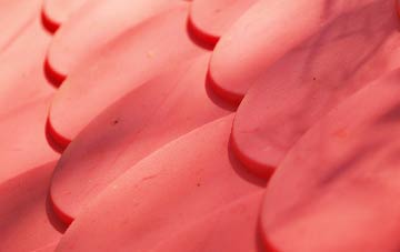 Inchyra plastic roof costs