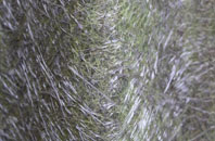 Inchyra fibreglass roof work